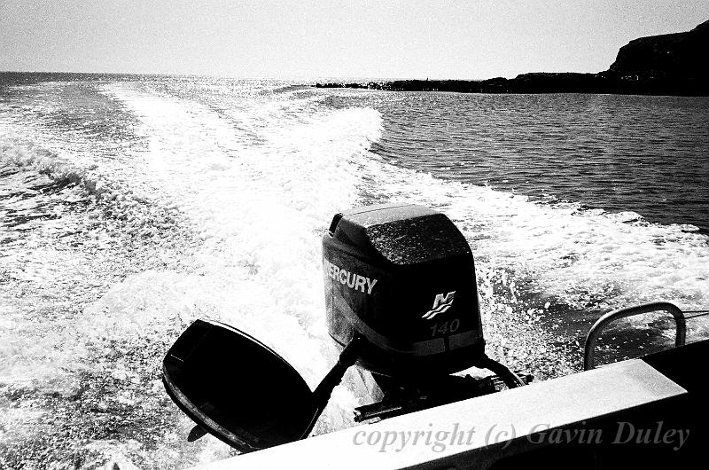 Boating, Dunedin Harbour 00570023.JPG - Kodak TriX 400 film